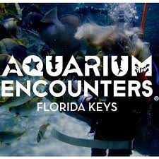 Florida Keys Aquarium Encounters -Marine life facility with diving, snorkeling & feeding activities