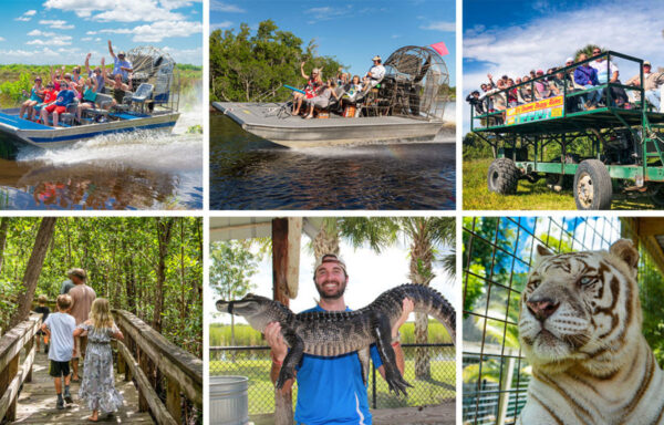 Everglades Tours